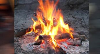 नए साल पर झटका: टाइगर रिज़र्व के रिसॉर्ट्स और होटलों में अब नहीं जलेगा अलाव, सुप्रीम कोर्ट ने लगाया रोक