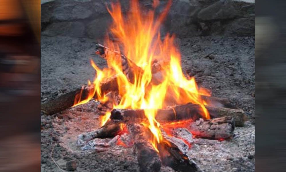 नए साल पर झटका: टाइगर रिज़र्व के रिसॉर्ट्स और होटलों में अब नहीं जलेगा अलाव, सुप्रीम कोर्ट ने लगाया रोक