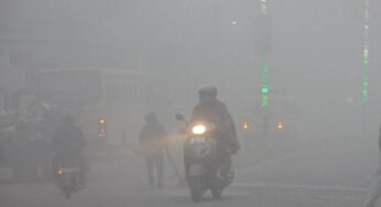 मध्य प्रदेश में ठंड का असर: 25 शहरों में पारा 10 डिग्री से कम, पचमढ़ी सबसे ठंडा