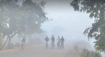 MP में कड़ाके की ठंड, पचमढ़ी में पारा 4.2°C पर, 25 शहरों में तापमान 10°C से नीचे; कई जिलों में घना कोहरा
