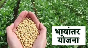भावांतर योजना में सोयाबीन का मॉडल रेट 4345 रुपए जारी