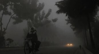 मध्यप्रदेश में कड़ाके की सर्दी का अलर्ट: भोपाल-इंदौर समेत 10 शहरों में पारा 2-3 डिग्री तक गिरेगा