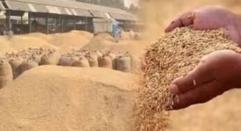 अब तक 17.24 लाख टोकन से 87 लाख टन धान की हो चुकी खरीदी