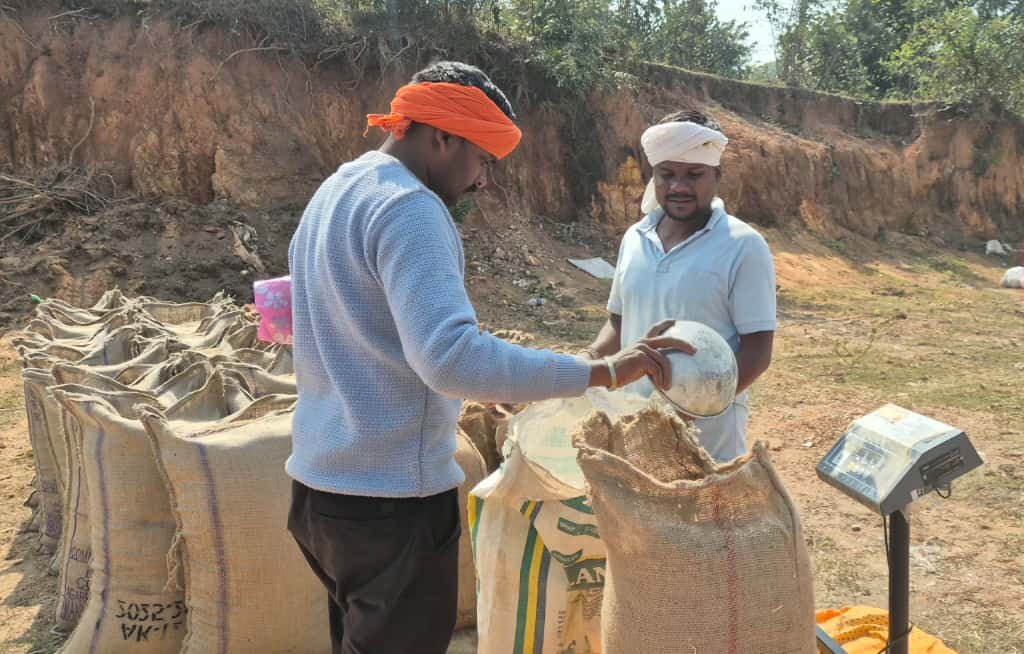 मोहला : जिले में धान खरीदी सुचारू रूप से जारी, 27 उपार्जन केन्द्र के माध्यम से 4 लाख क्विंटल से अधिक धान खरीदी
