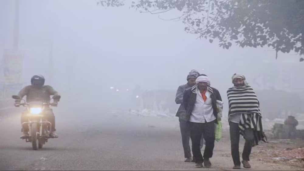 छत्तीसगढ़ में मौसम का डबल असर: इन इलाकों में घना कोहरा, उत्तरी हिस्सों में 3 दिन तक बढ़ेगा तापमान