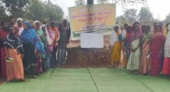 50 वर्षों बाद धमतरी के आदिवासी अंचल में रबी खेती की वापसी