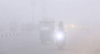MP में सर्दी का कहर, 25 शहरों में पारा 10° से नीचे, खजुराहो में 3.6°; 15 जिलों में कोहरा, ग्वालियर-चंबल में दिन भी ठिठुरे