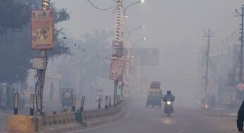 MP Weather Update: प्रदेश में तेज ठंड और कोहरे का असर, संक्रांति के बाद मावठा गिरने के आसार