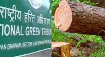 मध्य प्रदेश में 15 लाख पेड़ों की कटाई पर NGT का सवाल, वन महानिदेशक से मांगा जवाब