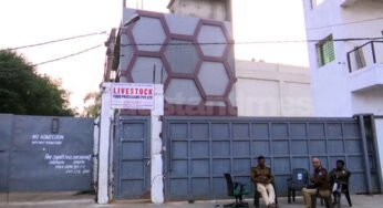 स्लॉटर हाउस अफसरों की मेहरबानी और सिस्टम की छांव में पनपा असलम चमड़ा का साम्राज्य
