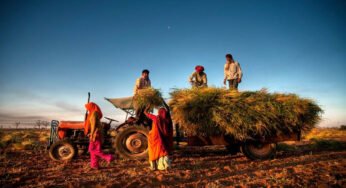नए साल में मध्य प्रदेश को मिलेंगी खास सौगातें, युवाओं और किसानों के लिए खुशखबरी