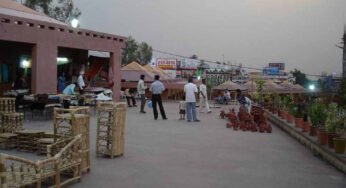 आजीविका ग्रीन मेला भोपाल हाट में 24 से 26 जनवरी तक