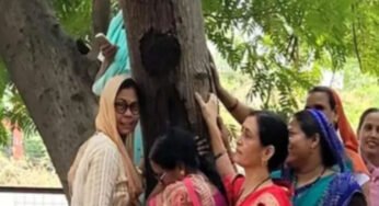 एमपी नगर में बनेगा नया खाद्य भवन, 50 साल पुराने 150 पेड़ काटने की योजना, करेंगे ‘चिपको आंदोलन’