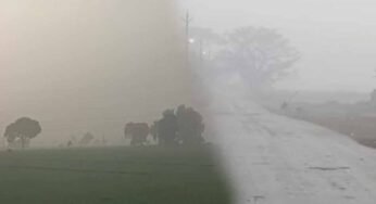 एमपी के 30 जिलों में बारिश, 8 जिलों में ओले गिरे; फसलों को नुकसान, 14 जिलों में आज अलर्ट