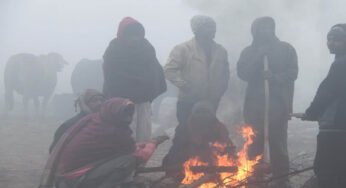 मध्यप्रदेश में नए साल के पहले दिन मौसम ने ली करवट, 24 घंटे बाद कड़ाके की सर्दी, पचमढ़ी और कल्याणपुर सबसे ठंडे