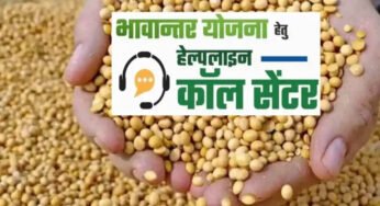 भावांतर योजना में सोयाबीन का मॉडल रेट 4458 रुपए जारी