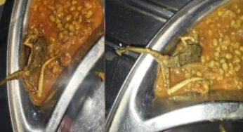 मेस के खाने में निकला मरा मेंढक और कीड़े-मकोड़े, डेंटल कॉलेज में गंभीर लापरवाही का खुलासा