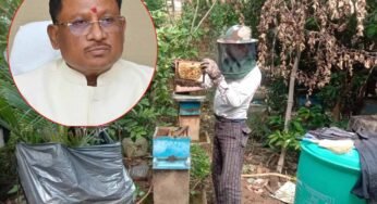 CG News: साय सरकार में खेती के साथ मधुमक्खी पालन बनीं उदय राम की रोजगार की कुंजी, कृषि विज्ञान केंद्र से लिया था प्रशिक्षण