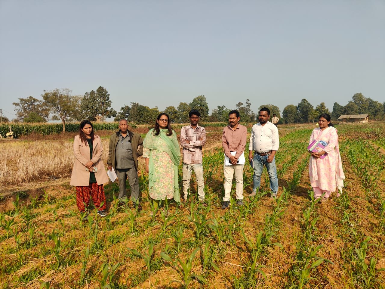 मोहला : खेतों में उतरकर कलेक्टर तुलिका प्रजापति ने किसानों से की सीधा संवाद, रबी फसलों का लिया जायजा