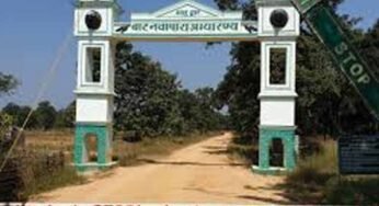बारनवापारा अभयारण्य में वर्षों बाद फिर दिखी दुर्लभ वन्यजीव झलक