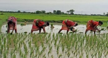 छत्तीसगढ़ सरकार की योजना: किसान तैयार हो जाएं, 1.5 लाख रुपये तक मिलेगा लाभ, जानें आवेदन प्रक्रिया