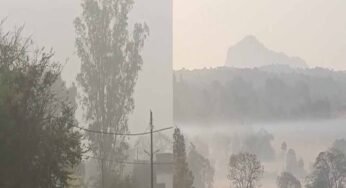 एमपी में घना कोहरा, 12 से ज्यादा ट्रेनें लेट; मालवा एक्सप्रेस 8 घंटे देरी से, शाजापुर में हादसे में युवक की मौत