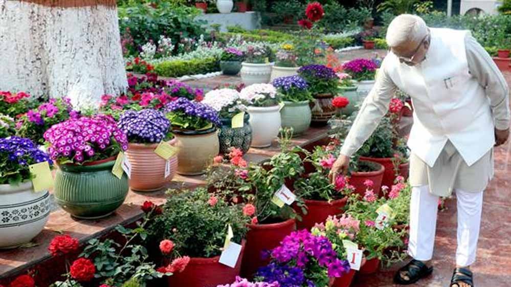 मेहनत और निष्ठा का प्रतिफल, पुरस्कार : राज्यपाल पटेल