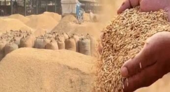 550 किसानों को फिर मिला धान बेचने का मौका, धान खरीदी तिथि दो दिन और बढ़ाई