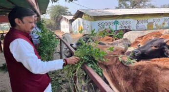 उप मुख्यमंत्री शुक्ल ने लक्ष्मणबाग गौशाला का किया भ्रमण