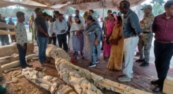 बीजापुरी नंबर-1 में काष्ठ शिल्पियों के कार्यों का शहडोल संभाग की कमिश्नर ने लिया जायजा