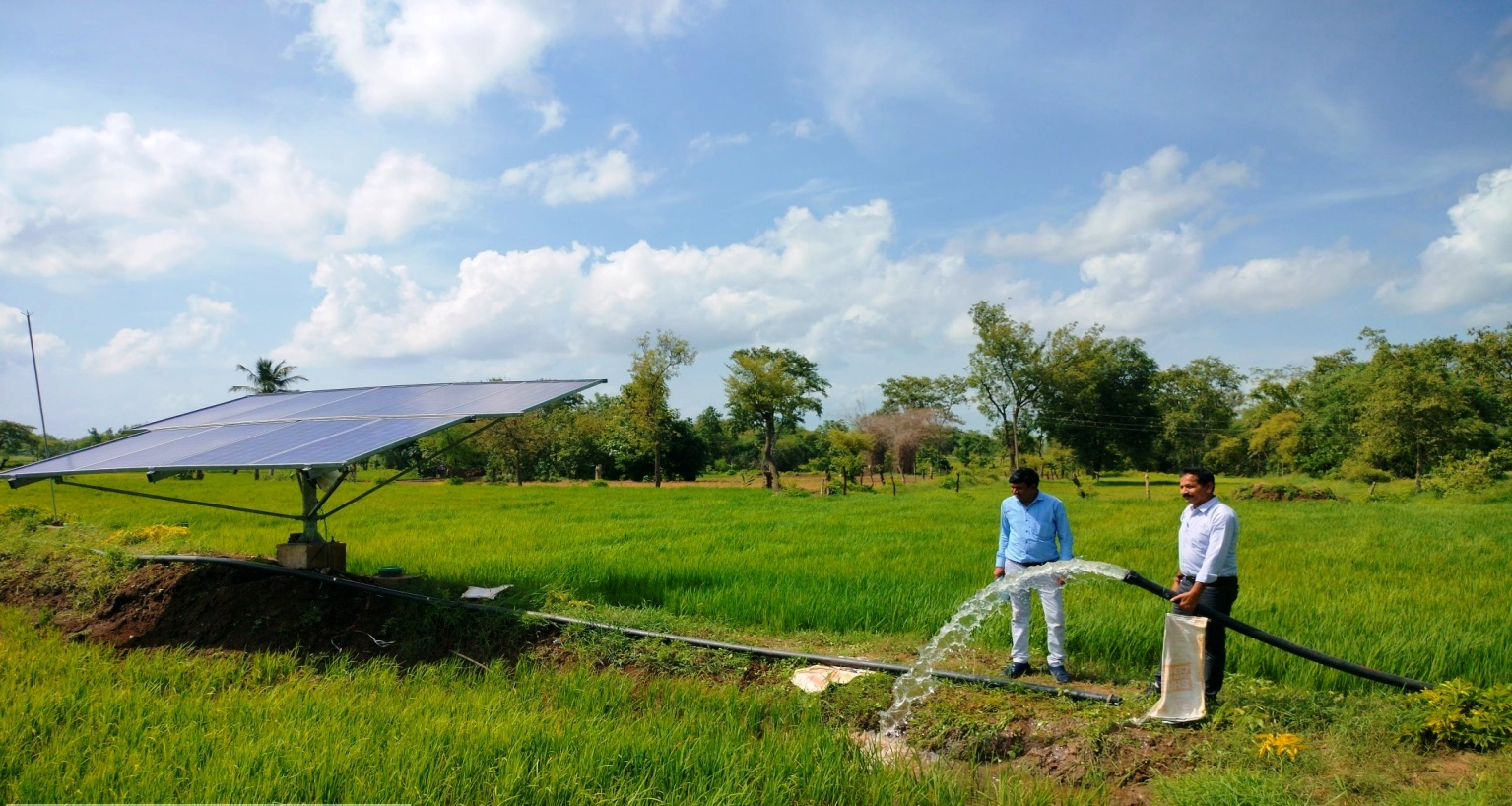 मोहला : सौर सुजला योजना ने बदली किसानों की तकदीर, अकार्यशील पंपों के सुधार से फिर लौटी हरियाली