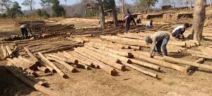 डिजिटल सिस्टम से बढ़ी पारदर्शिता, रोजगार सृजन में वन विकास निगम की नई पहल