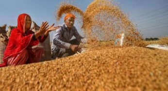 20 हजार से अधिक किसानों ने समर्थन मूल्य पर गेहूँ उपार्जन के लिये कराया पंजीयन : मंत्री राजपूत