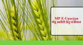 इंदौर, उज्जैन, भोपाल और नर्मदापुरम संभाग में 1 अप्रैल तथा शेष संभागों में 7 अप्रैल से होगी गेहूँ खरीदी : खाद्य मंत्री राजपूत