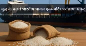 MP से बासमती का निर्यात ठप, समुद्र में फंसा चावल, किसानों और व्यापारियों की बढ़ी चिंता