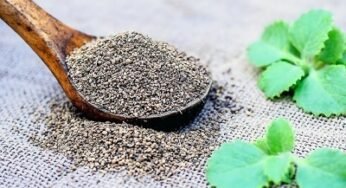 पेट दर्द से खांसी तक, सर्दियों में वरदान है अजवाइन…