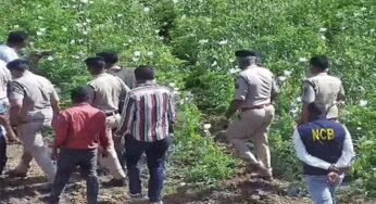 4 साल से 5 एकड़ में अफीम की खेती, दुर्ग फार्महाउस में बाउंसर्स तैनात; भाजपा नेता ने डिजिटल सर्वे में गेहूं-मक्का दिखाया