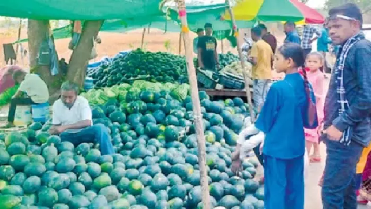 CG : तरबूज उत्पादक किसानों को 300 करोड़ की आर्थिक क्षति, भाव में गिरावट …