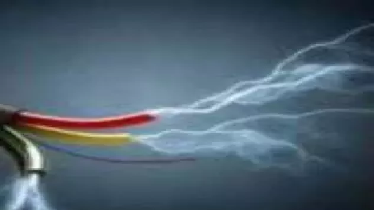 CG : करंट से 4 कुत्तों की मौत ...