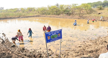 CG : अंतर्राष्ट्रीय महिला दिवस पर विशेष लेख : अंतर्राष्ट्रीय महिला दिवस: स्व-सहायता समूहों के माध्यम से आत्मनिर्भर बन रहीं धमतरी जिले की महिलाएं …