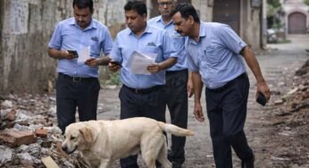 MP में अजीब मामला: छुट्टी लेकर 8 दिन तक कुत्ता खोजते रहे भेल कर्मचारी, अफसरों को पड़ा भारी पंगा