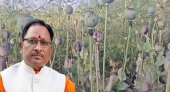 अफीम खेती पर CM साय का सख्त ऐक्शन प्लान, बोले- नक्सलियों और रसूखदारों को नहीं मिलेगी राहत