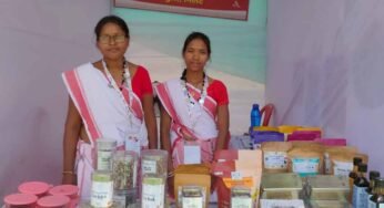 आदि परब में जशप्योर स्टॉल की धूम: महुआ को मिला सुपरफूड का दर्जा