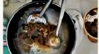 बिलासपुर जंगल रिसॉर्ट में छापा: हिरण का मांस पकाते मैनेजर समेत 4 गिरफ्तार