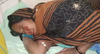 CG : रौंदने के लिए हाथी ने दौड़ाया, रायगढ़ में महिला घायल …