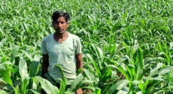 धान के बजाय मक्का से बढ़ा मुनाफा : किसान मालती मोहन बने उन्नत खेती की मिसाल किसान मालती मोहन