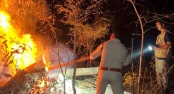 होली के दिन भी वनों की सुरक्षा में जुटे रहे वनकर्मी