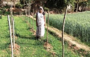 मेहनत से लिखी सफलता की कहानी