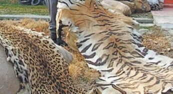 प्रतिबंधित वन्य-जीवों की अवैध बिक्री एवं पालन पर होगी सख्त कार्रवाई