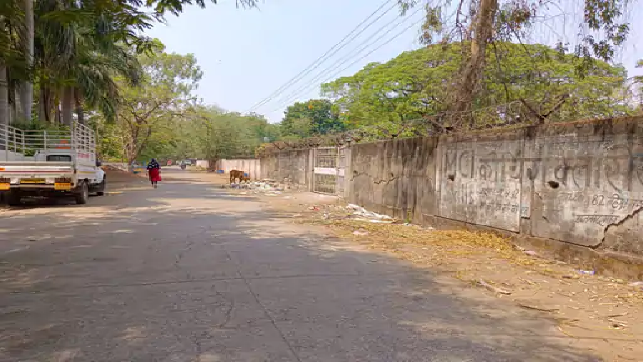 राजनांदगांव : मोती तालाब के पास मुख्य सड़क पर गंदगी, राहगीर और रहवासी परेशान…